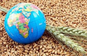 هفت گام بلند‌ دولت برای‌ پایداری امنیت غذایی‌/ پیشرفت راهبرد‌ خودکفایی در محصولات کشاورزی