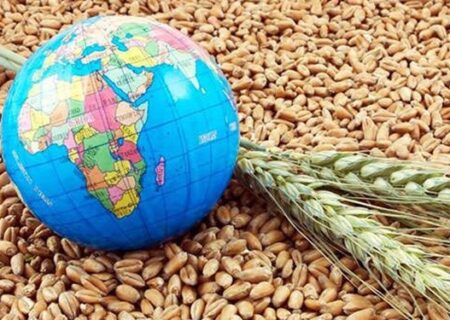 هفت گام بلند‌ دولت برای‌ پایداری امنیت غذایی‌/ پیشرفت راهبرد‌ خودکفایی در محصولات کشاورزی
